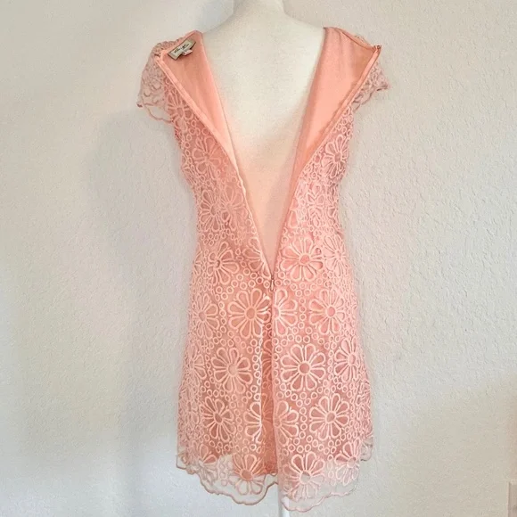 Beige by eci, Peachy/Pink Floral Lace Overlay Sheath Dress, Size 6 - Picture 6 of 10